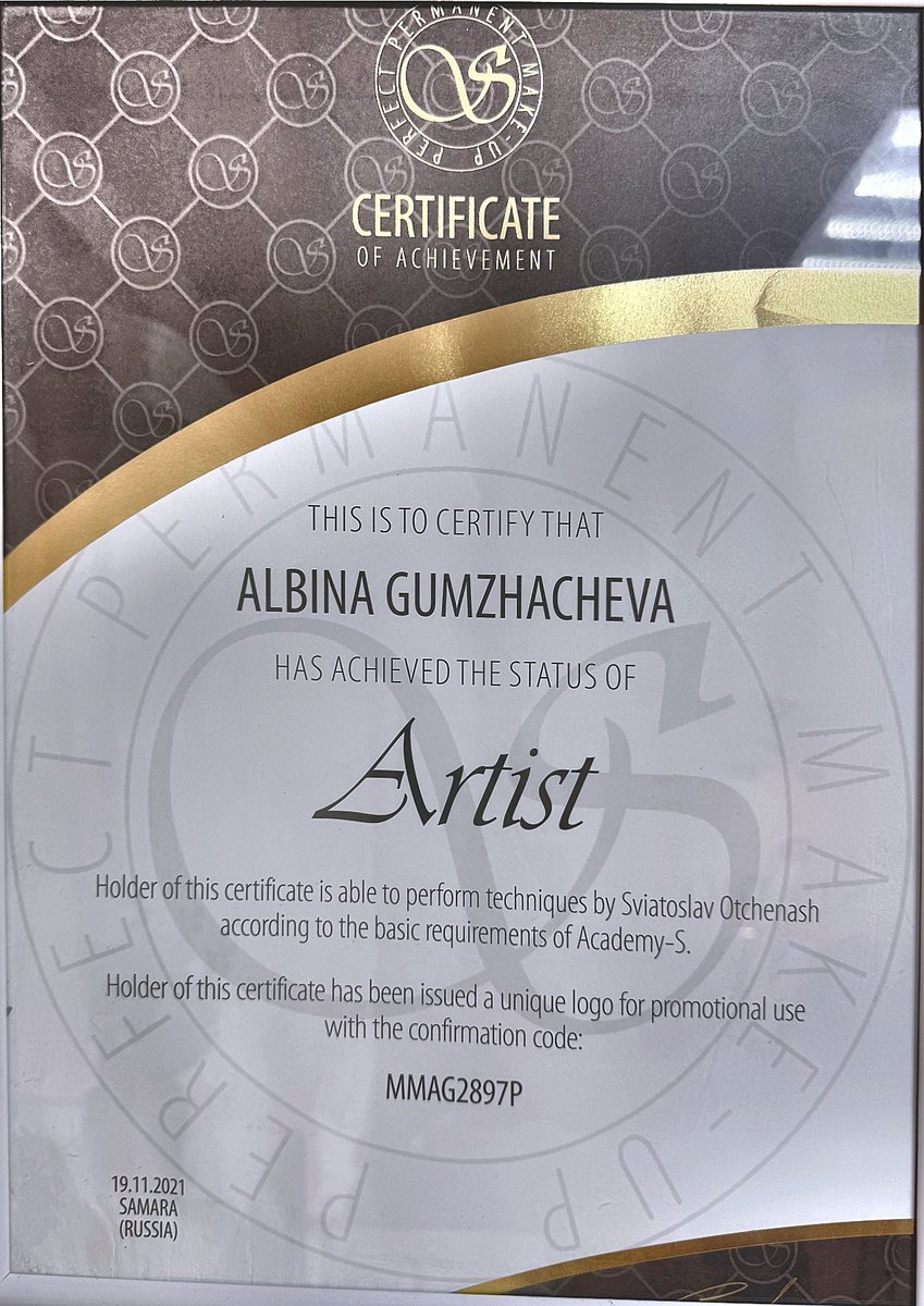Сертификат: Artist — Academy S (Святослав Отченаш)
